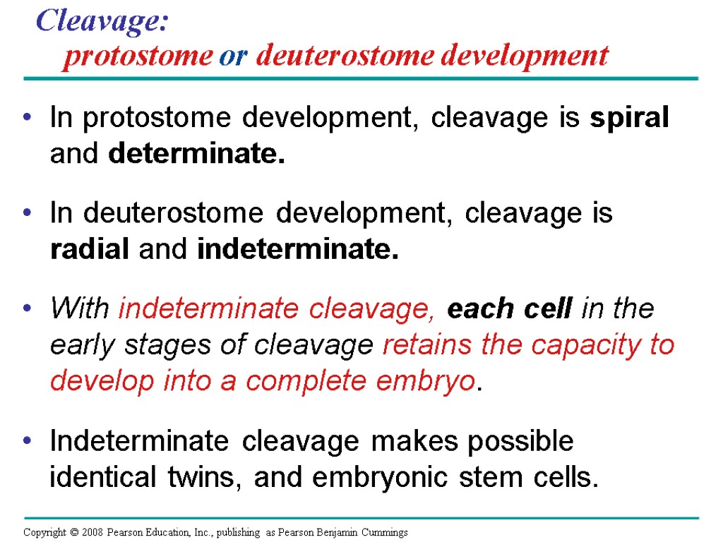 Cleavage: protostome or deuterostome development In protostome development, cleavage is spiral and determinate. In